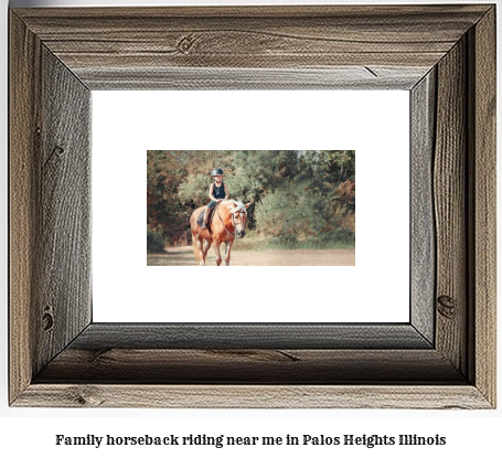 family horseback riding near me in Palos Heights, Illinois